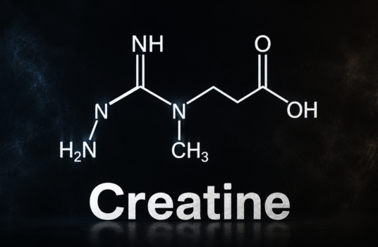 Hoeveel creatine per dag? De enige gids die je nodig hebt
